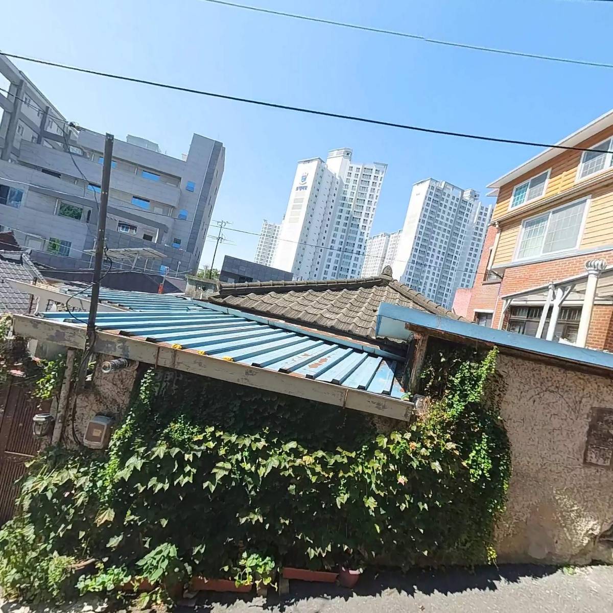 대한민국 식품(김치)명인76호_3