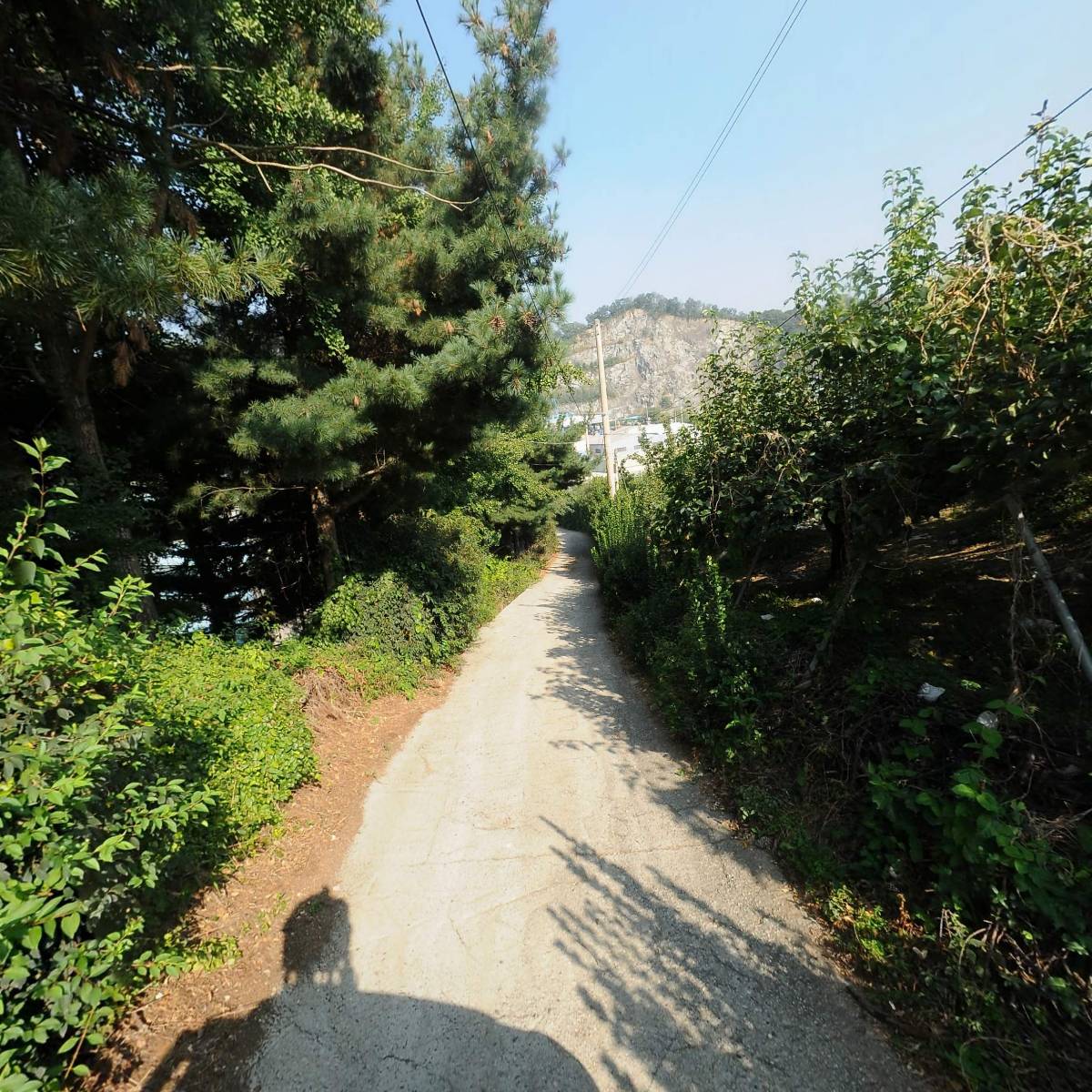 제일화학(주)_2