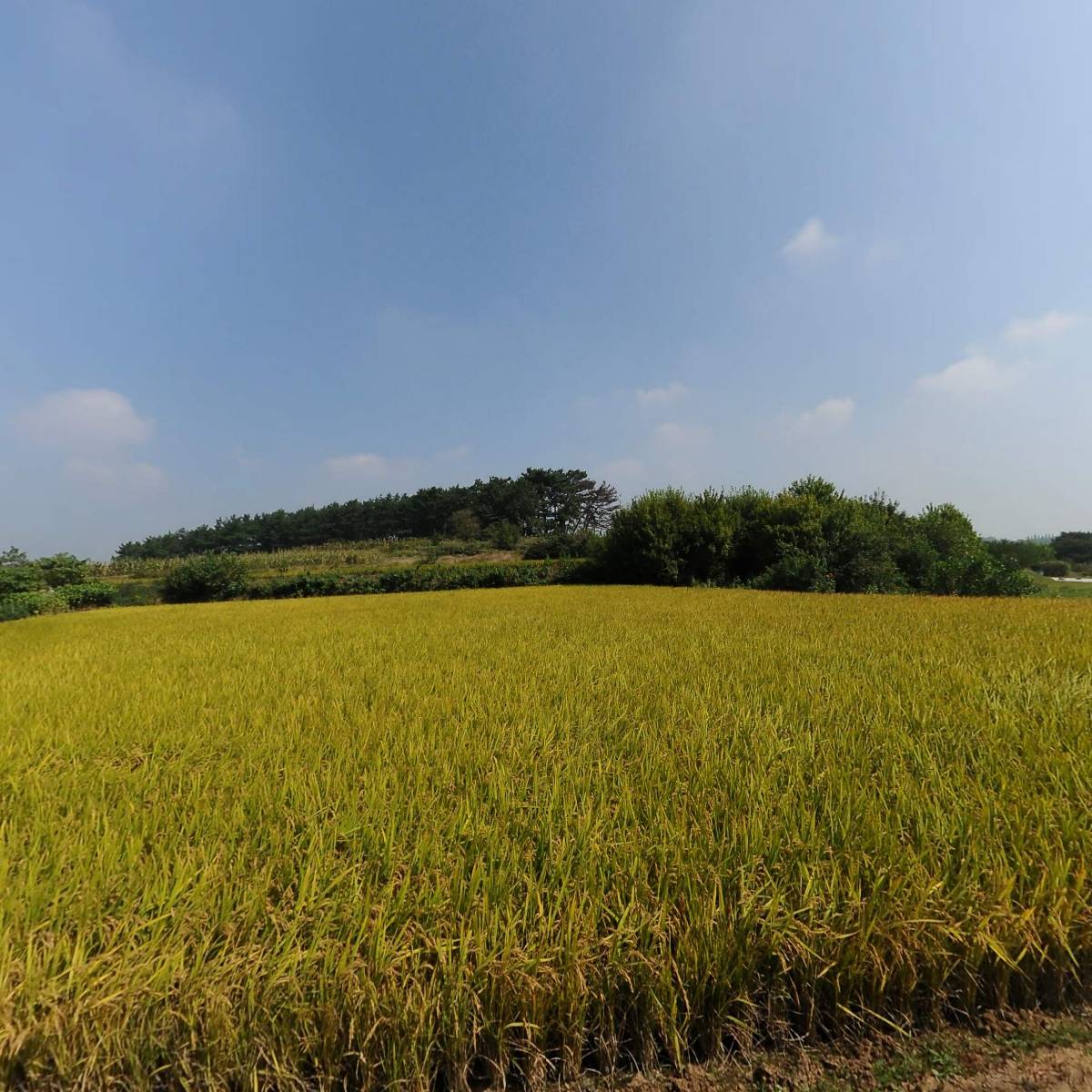 주식회사한새온산업김제공장지점_3