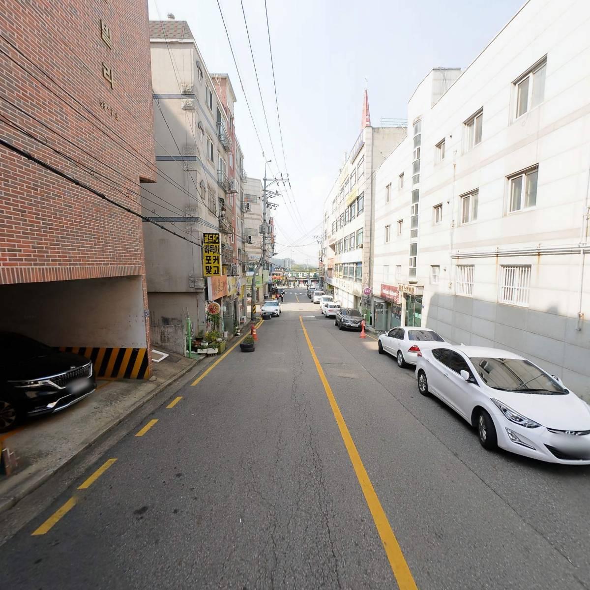 카멜라온_2