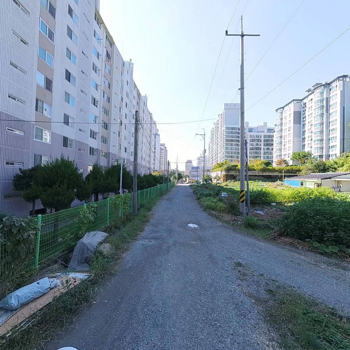 더생생한마켓_2