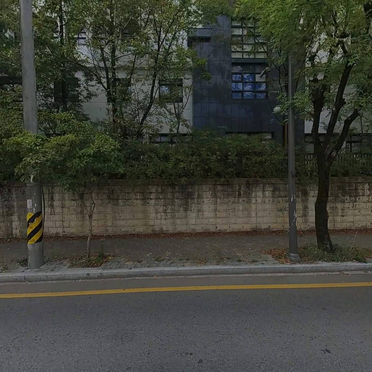닥터한스