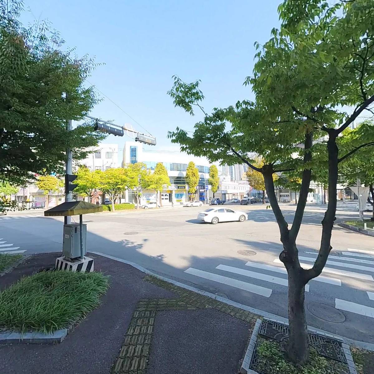 미코진_3