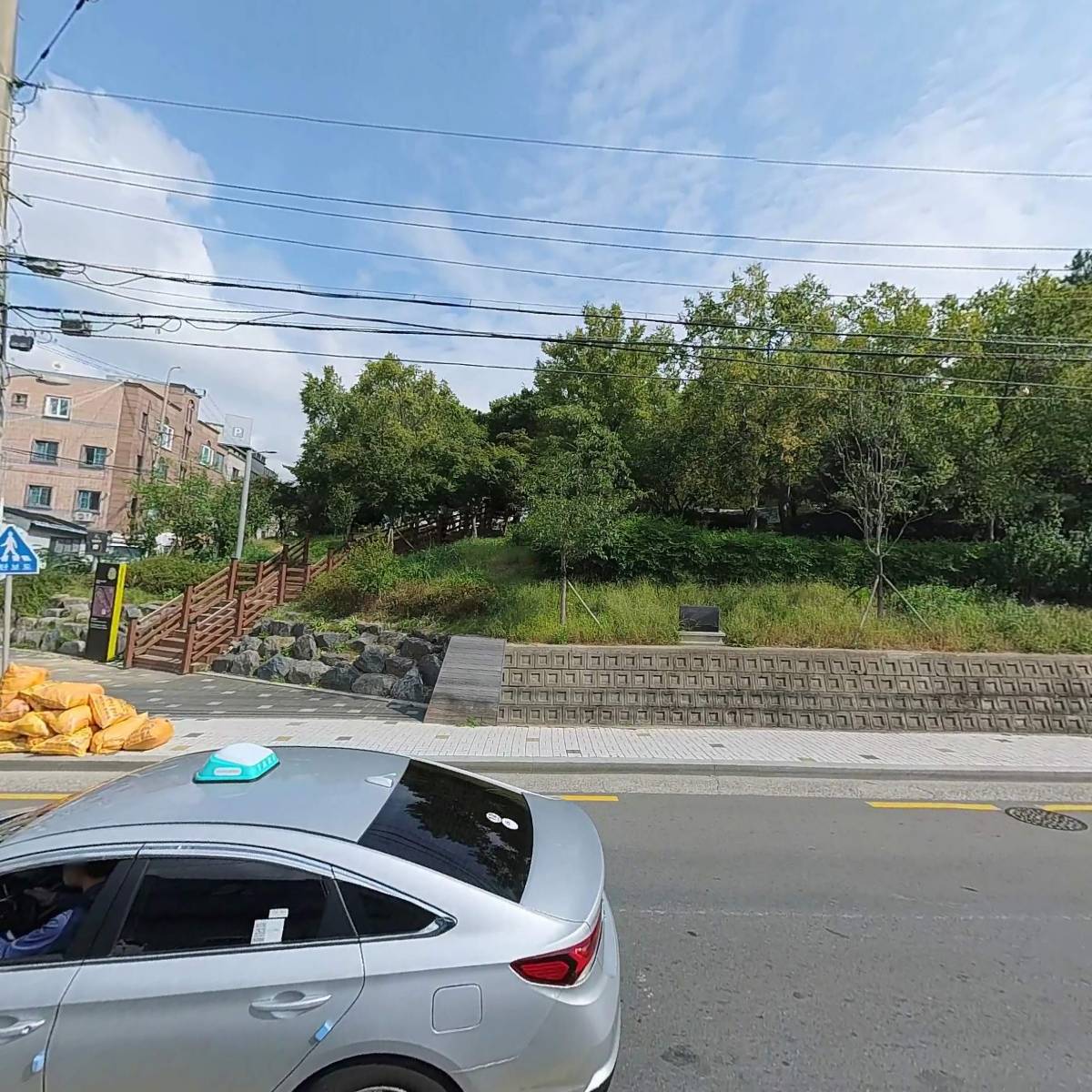 현대칼라_3