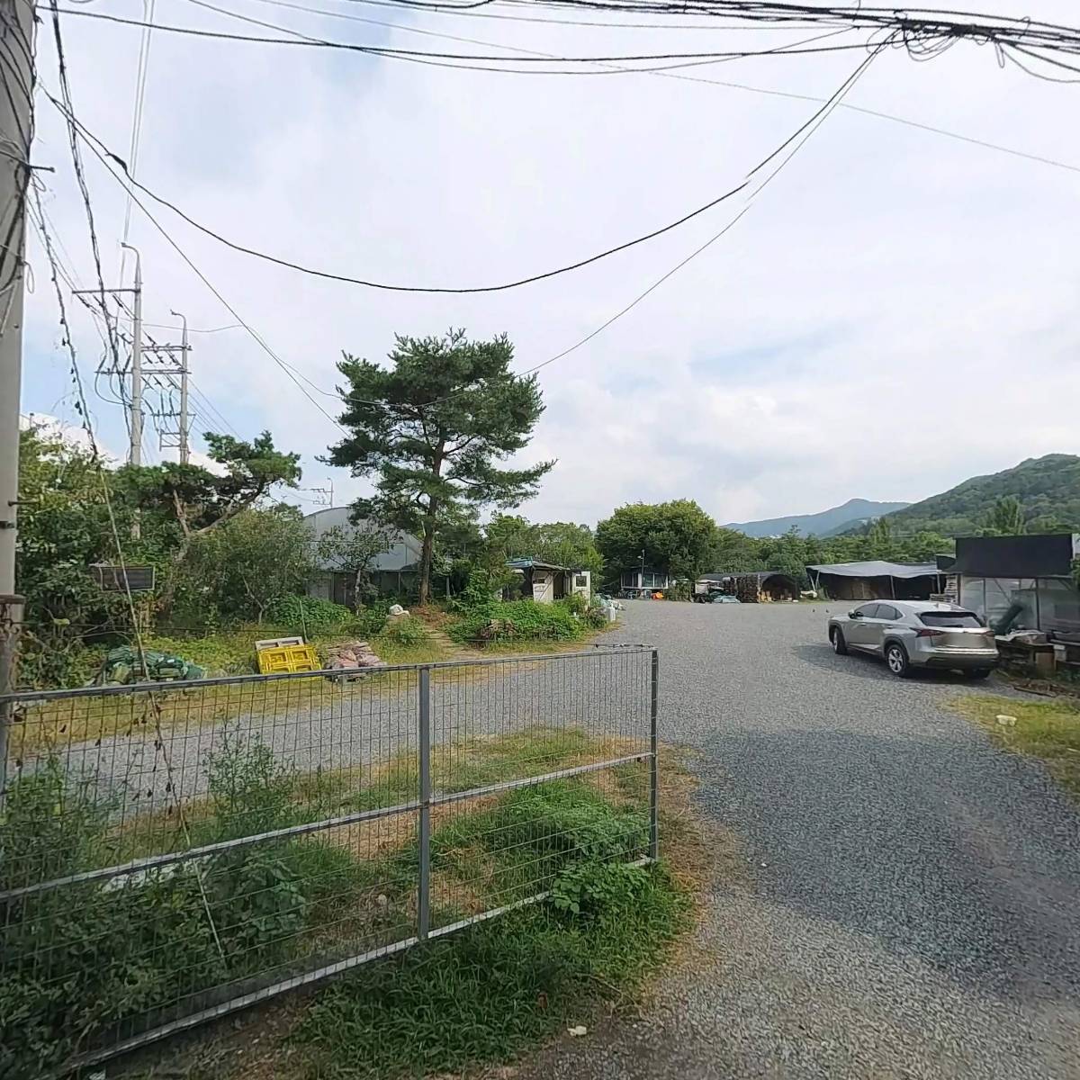 （주）안상규벌꿀상동점
