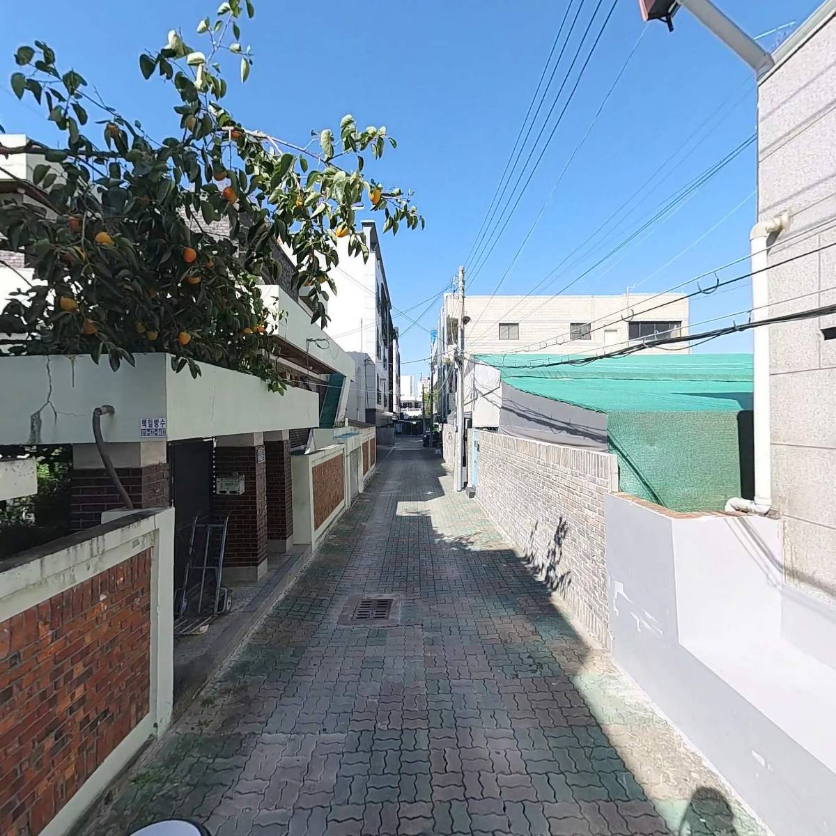 대구광역시한의사회_2
