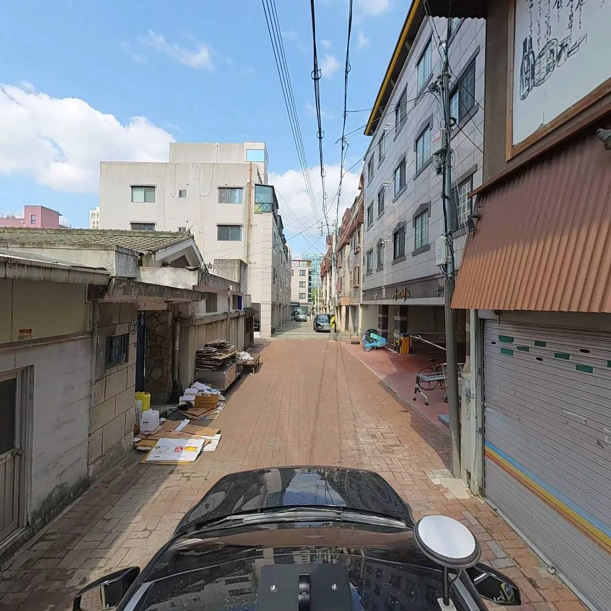 고우니_4