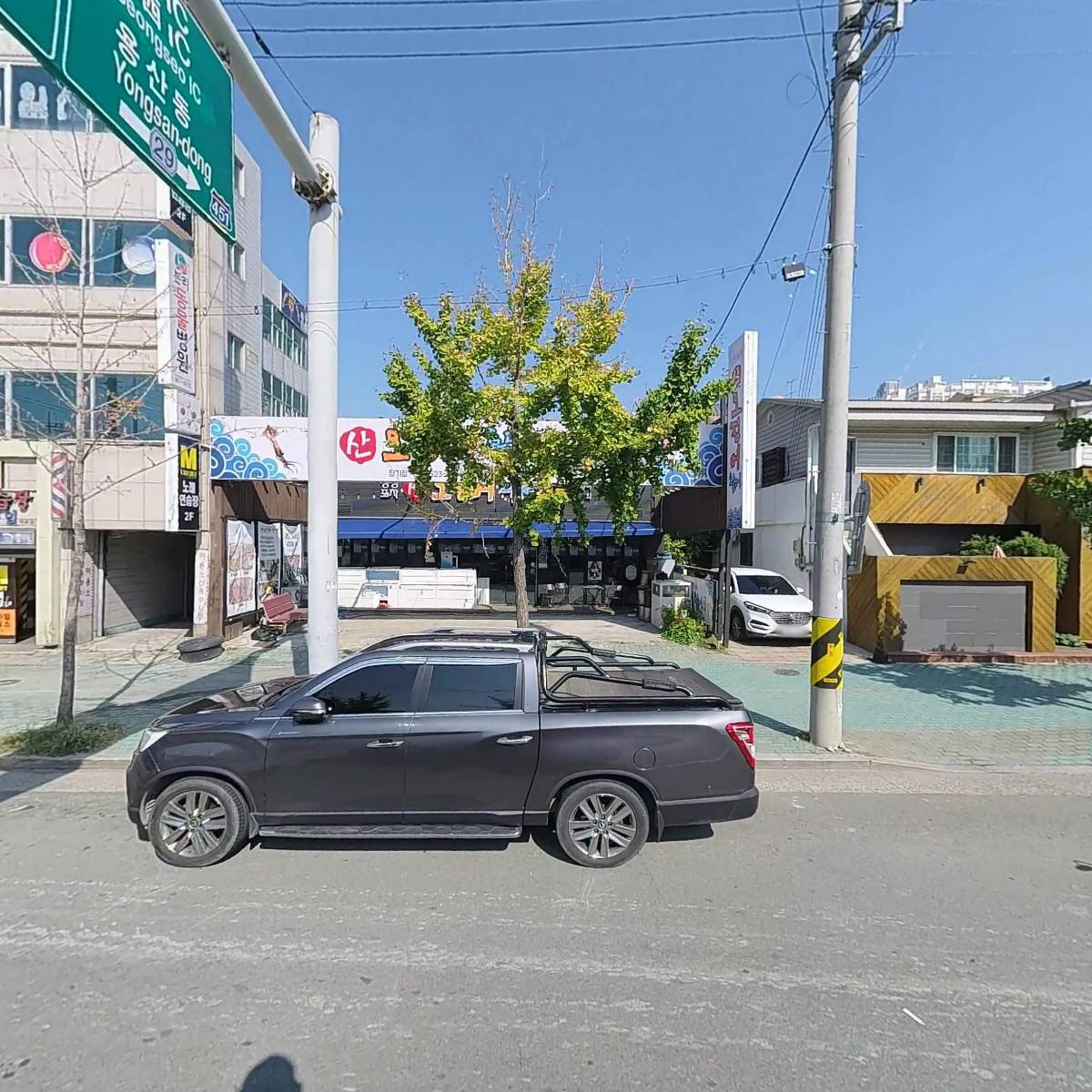 싱싱포차산오징어,활어