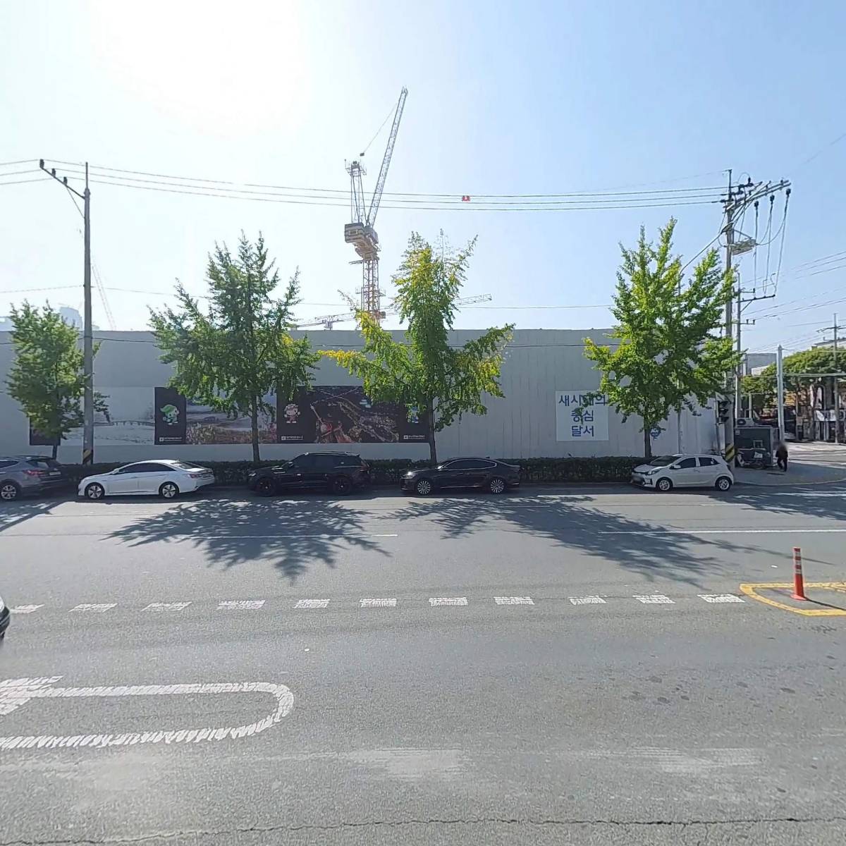 싱싱포차산오징어,활어_3