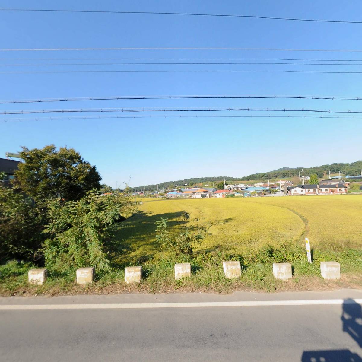 천북낙농회 영농조합법인_3