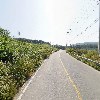 충남뉴스큐미디어_2