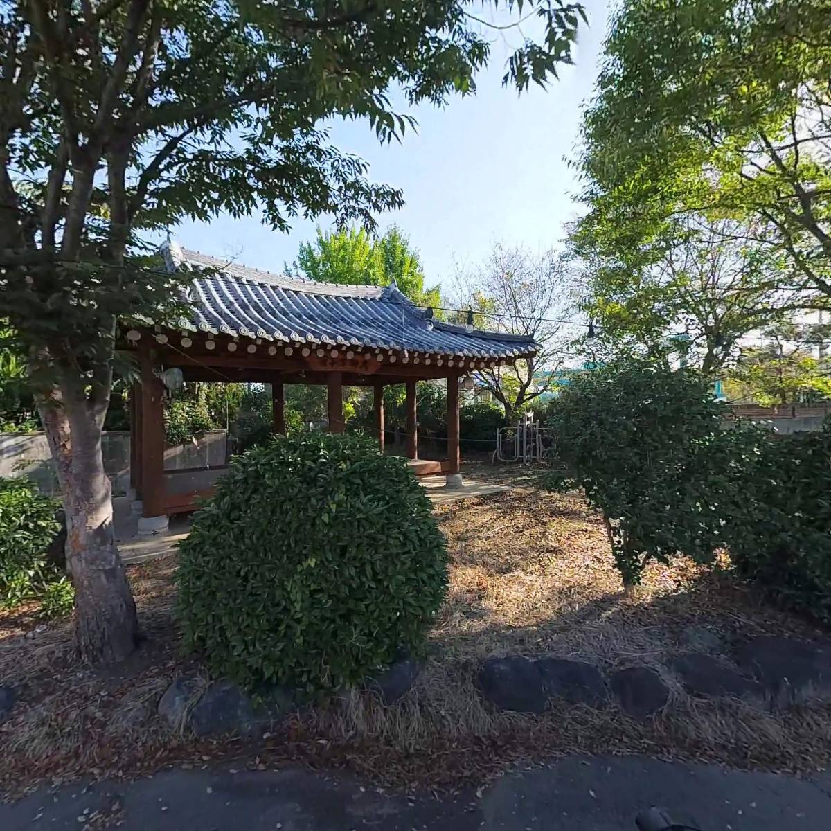 선경중기_3