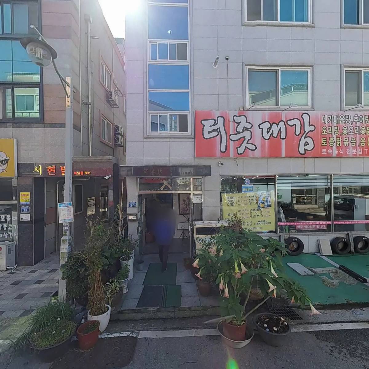 터줏대감