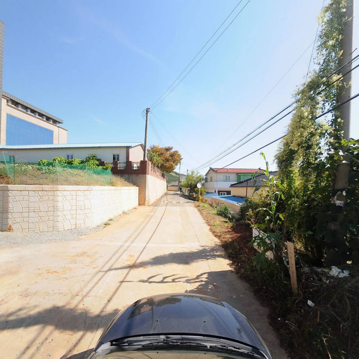 오가네집_4