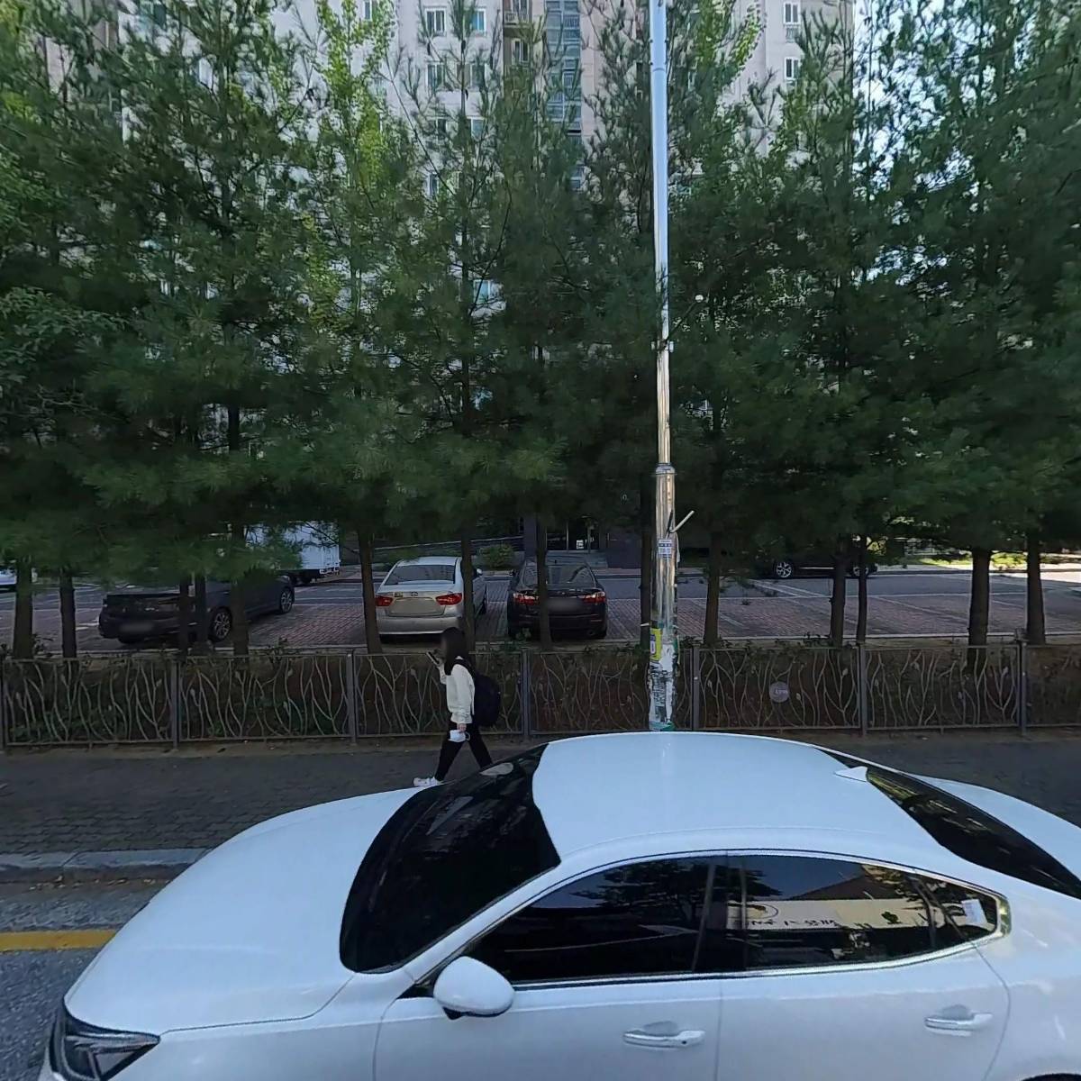 채문기 해물상회
