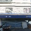 쑥쑥이몰
