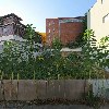 쑥쑥이몰_3