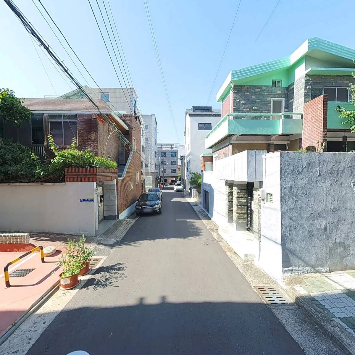 셀럽독_2