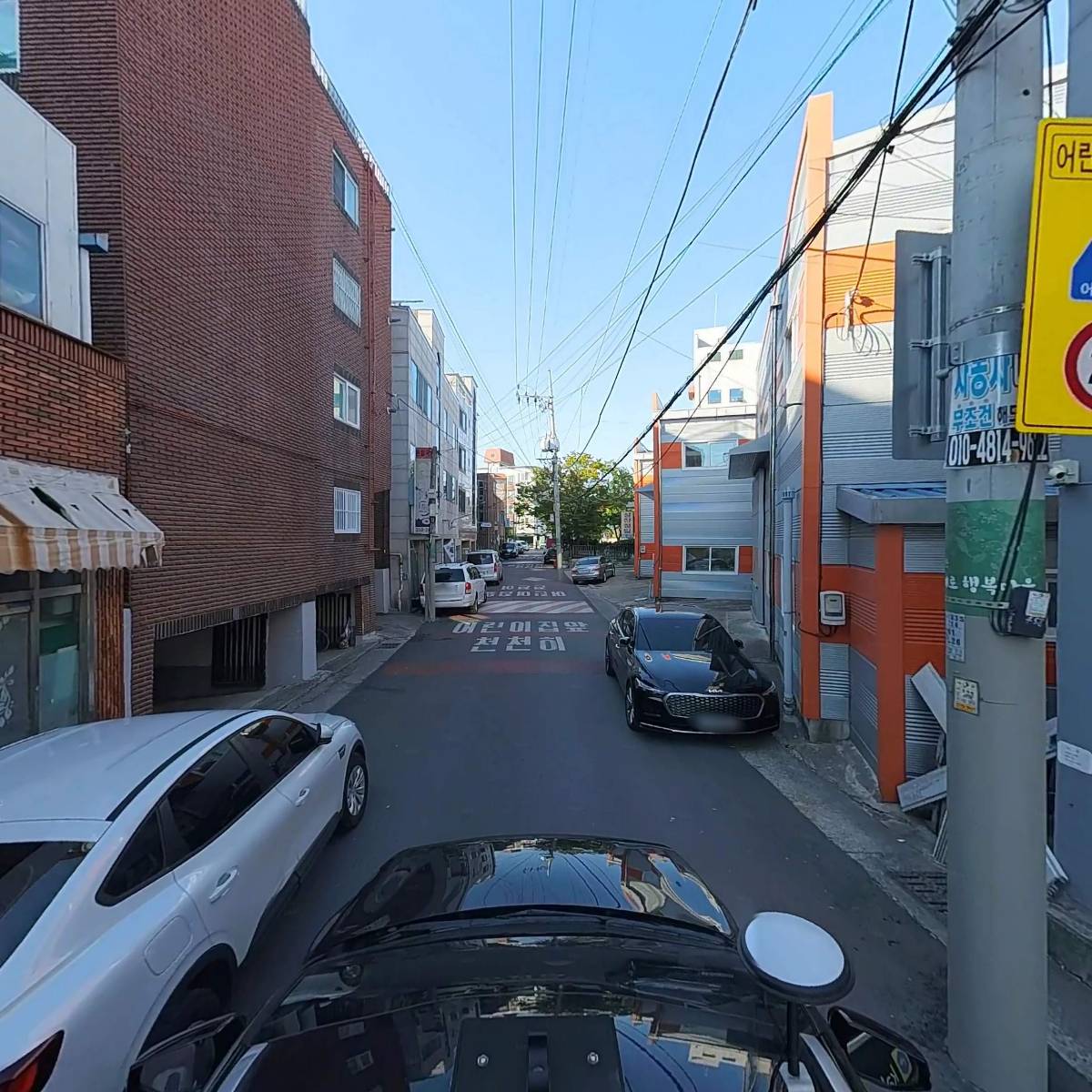 통큰딱따구리_4