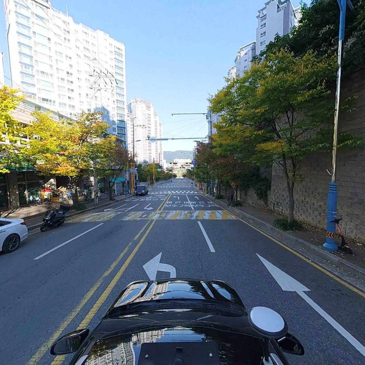 네이비캣_4