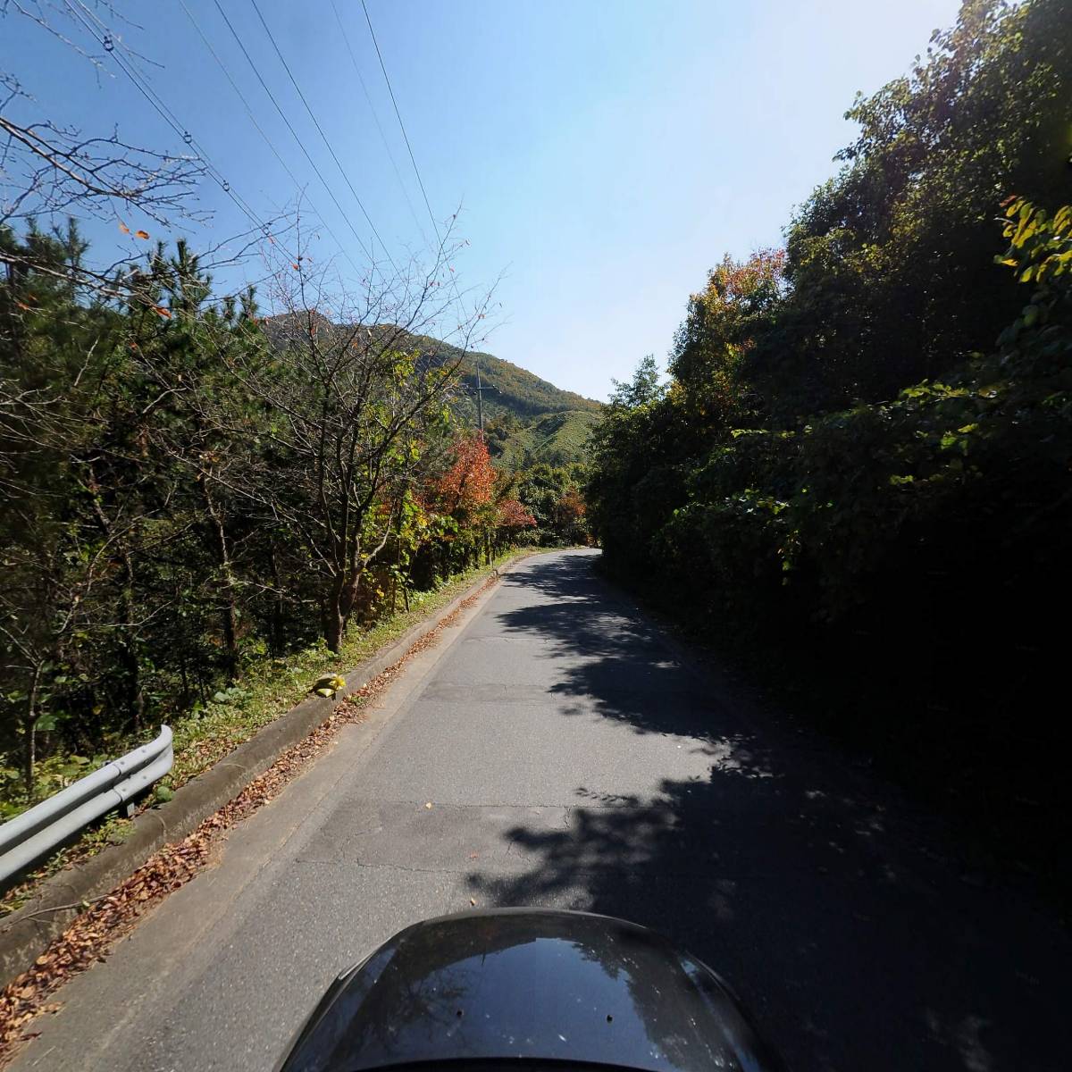 농업회사법인 주식회사 상록수_4