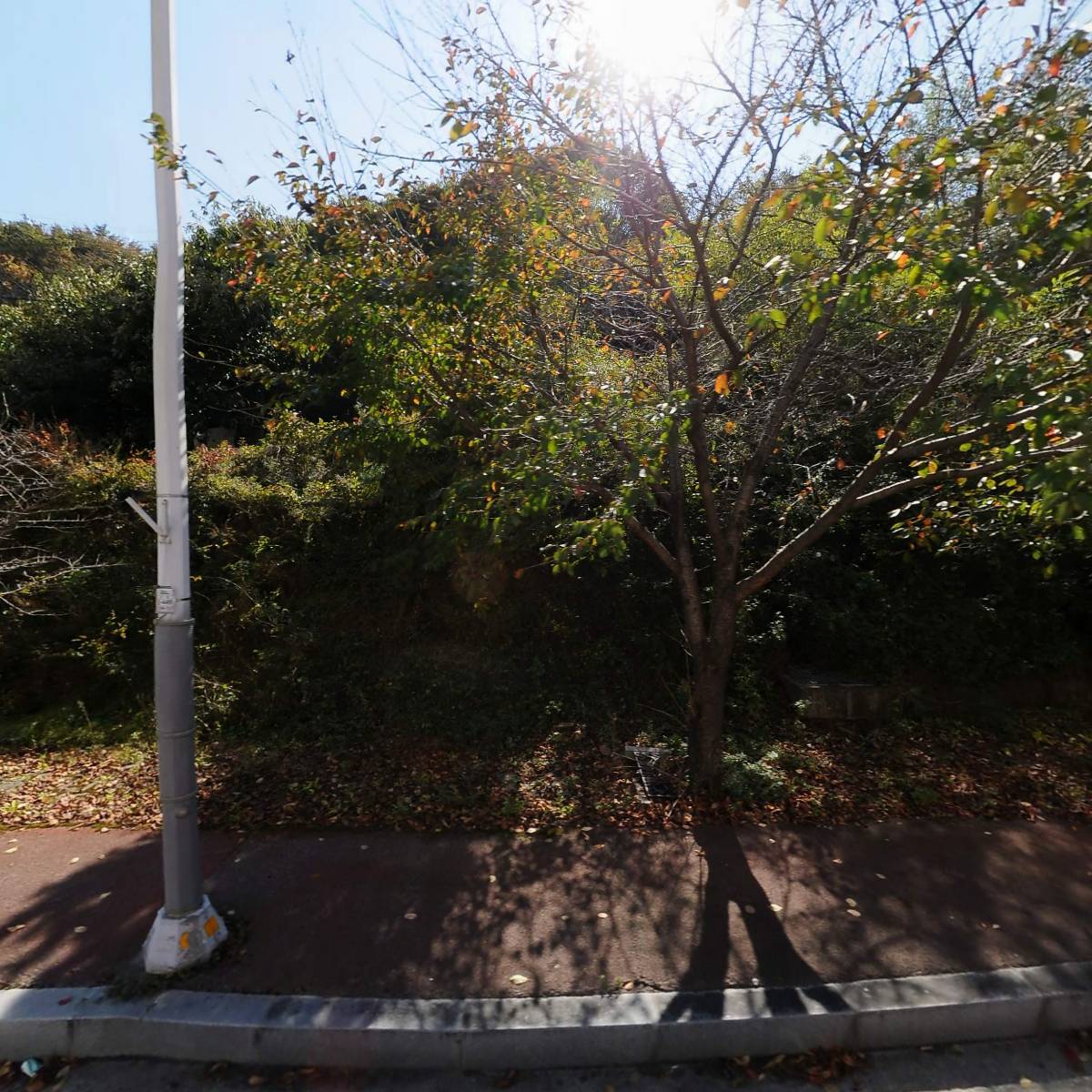 오케이퓨쳐  주식회사