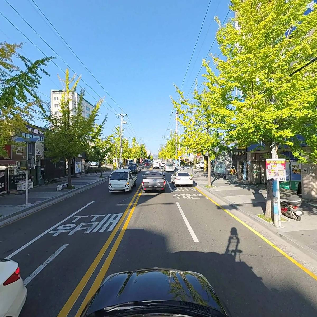 울산쉼표동물병원_4