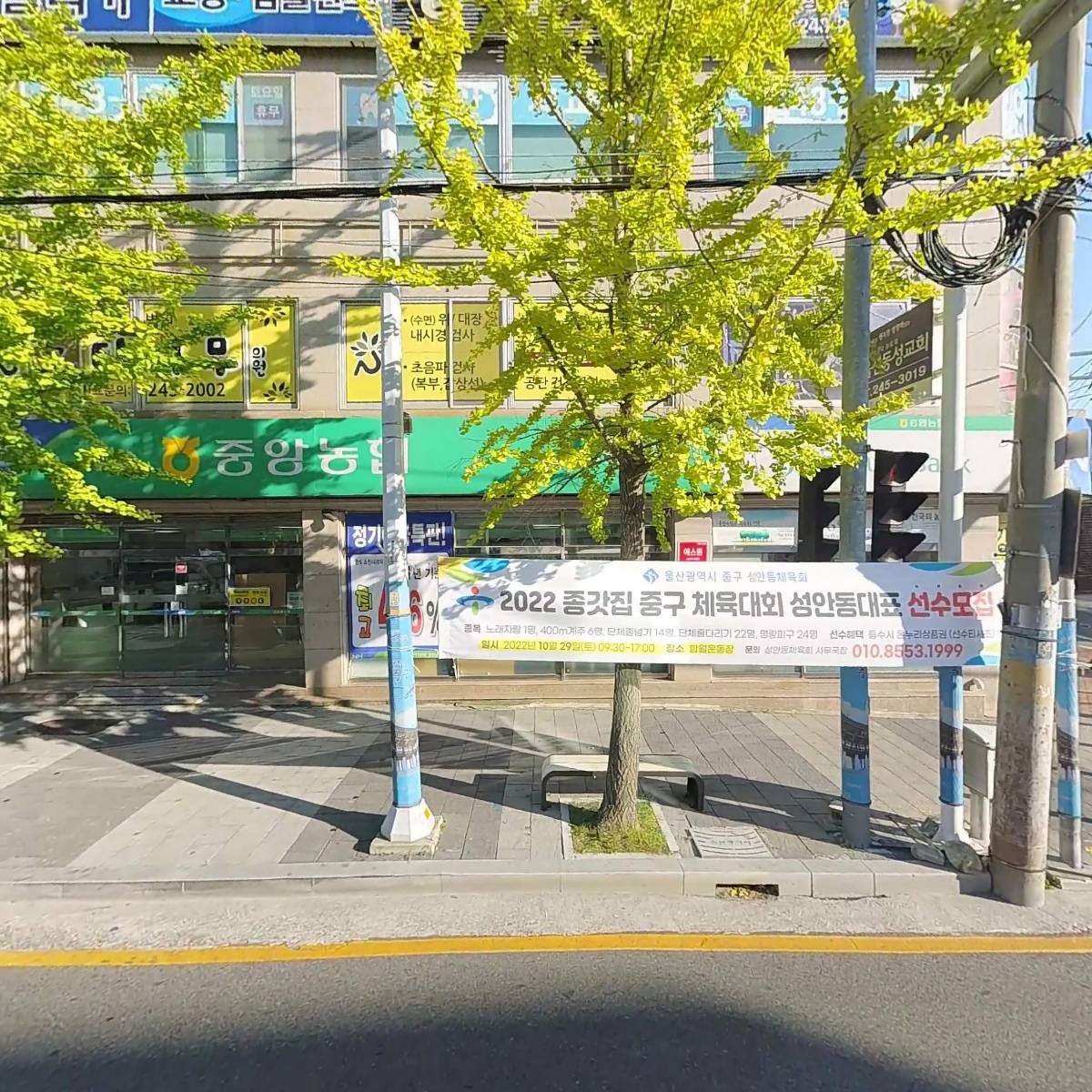 울산쉼표동물병원