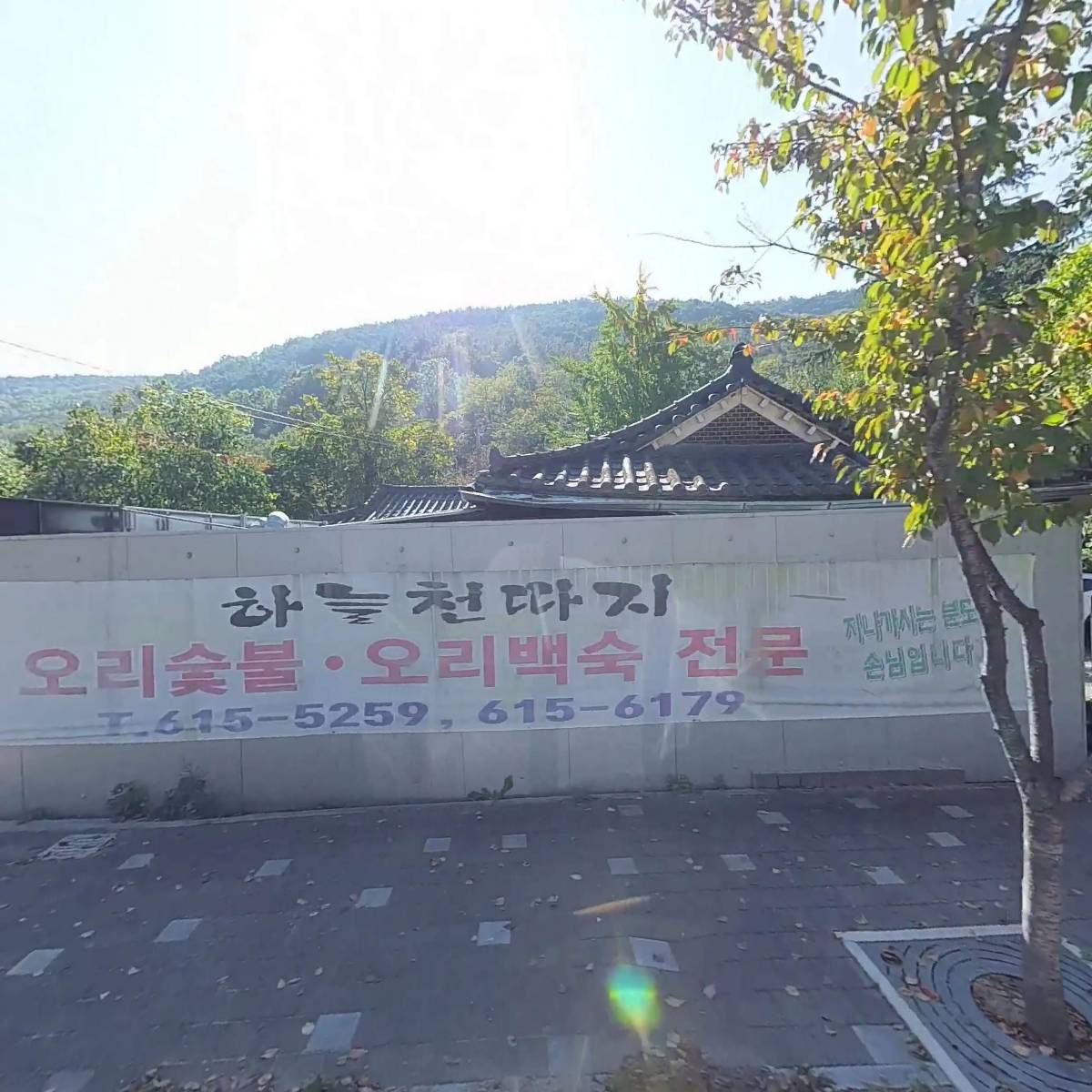 하늘천따지 대구옥포송해공원용연사