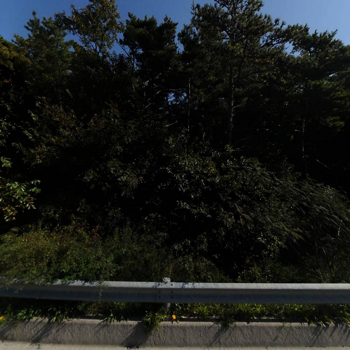 찬희수산