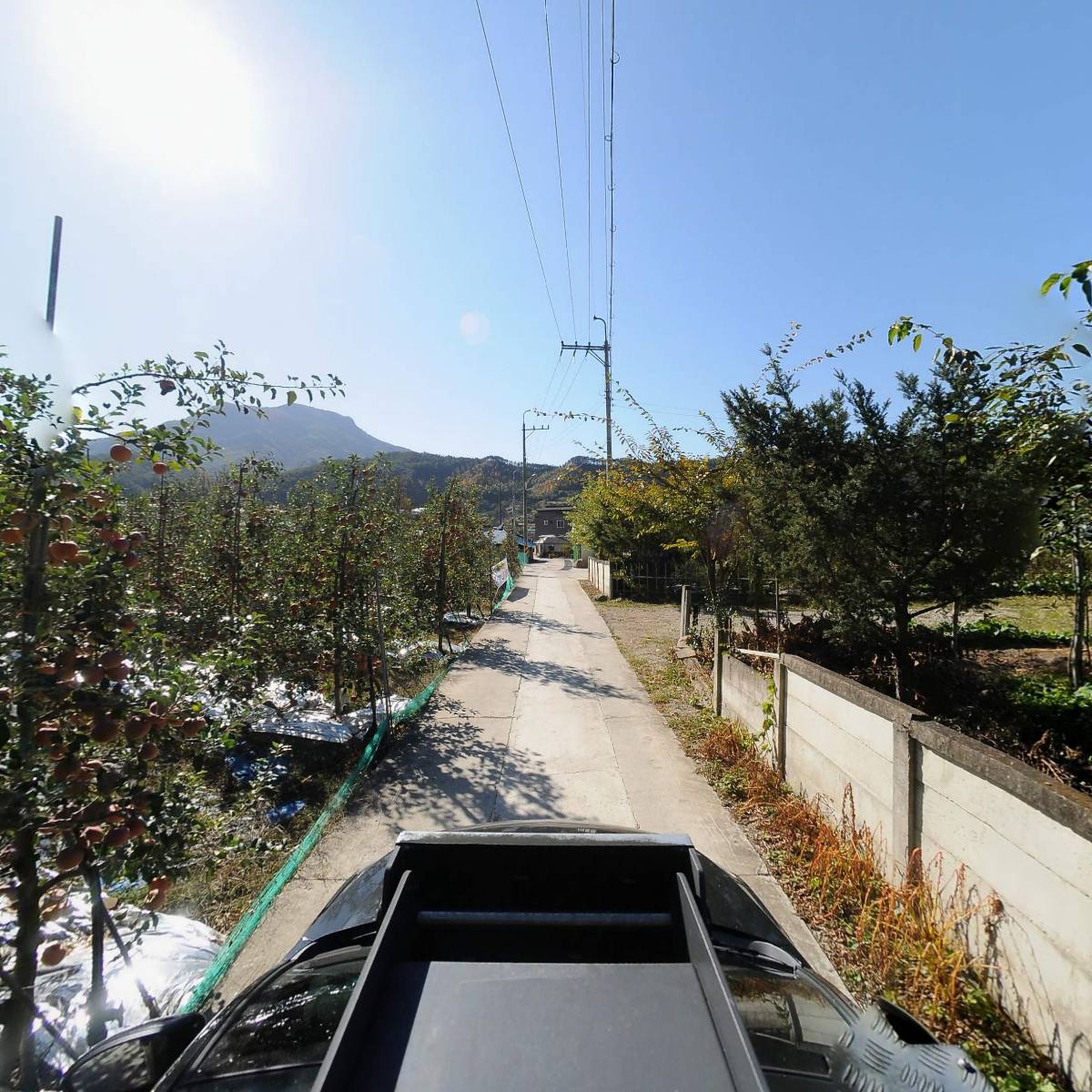삼도봉농장_4