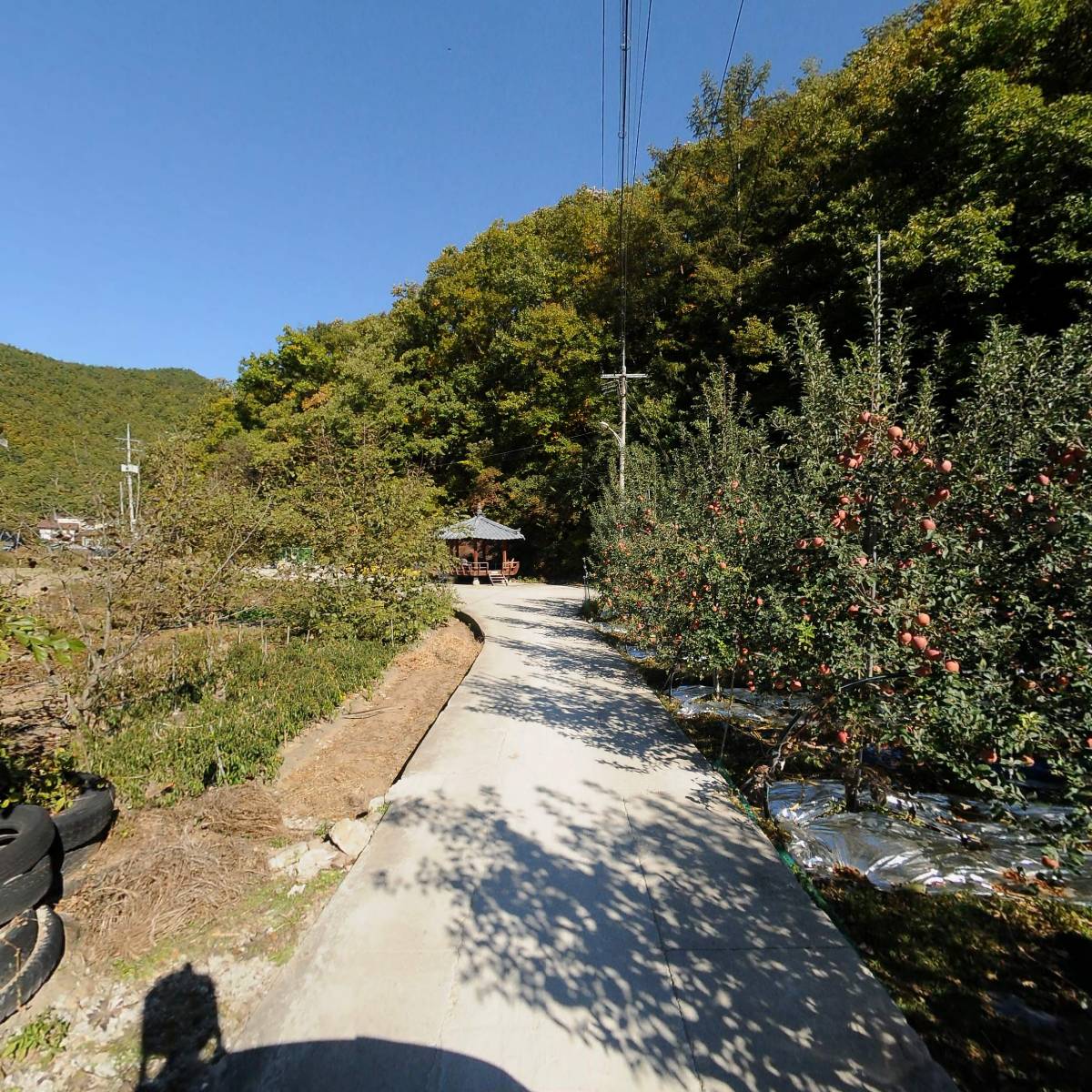 삼도봉농장_2