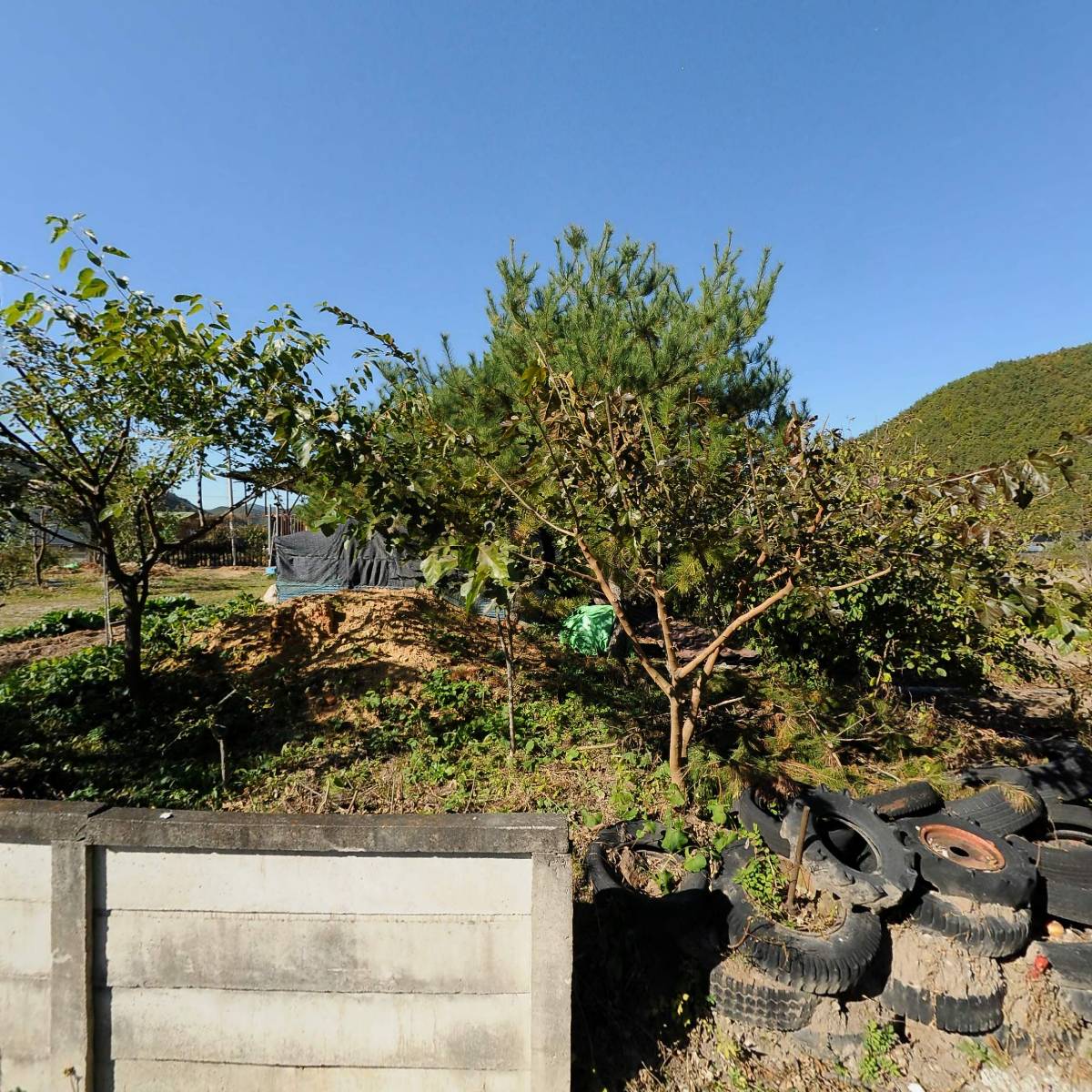 삼도봉농장