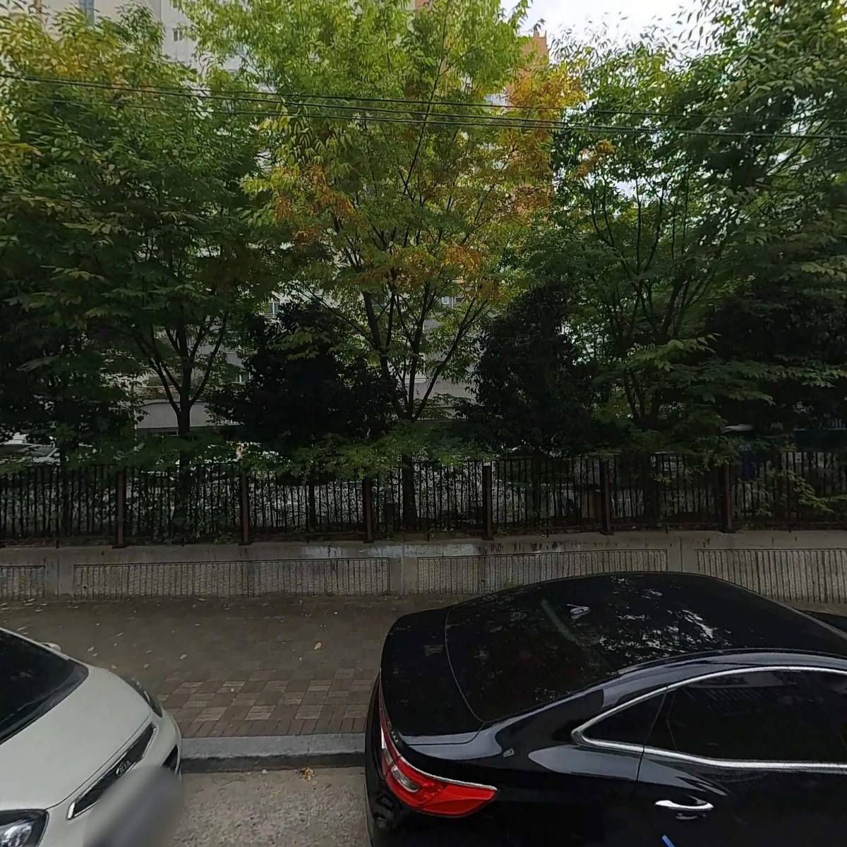 아메리칸스템프렙(ASP)어학원