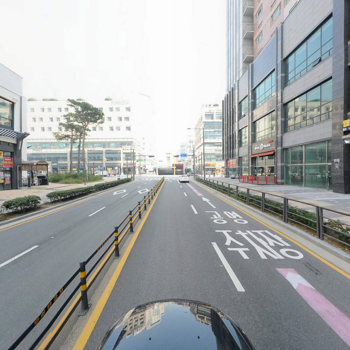 읍천리382시흥배곧_4