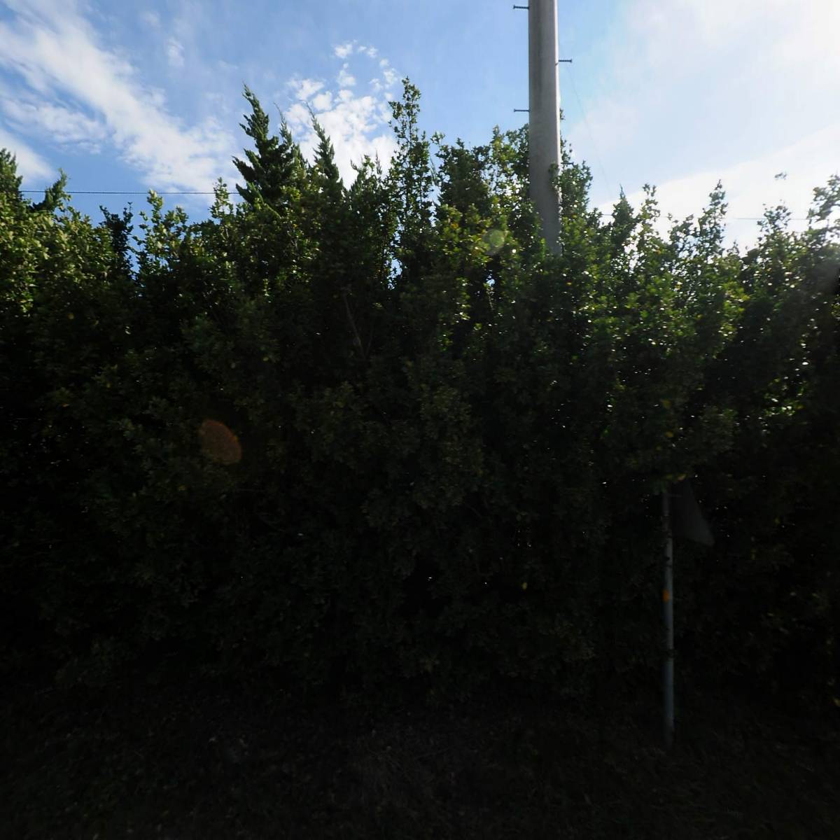 농업회사법인(합)포발