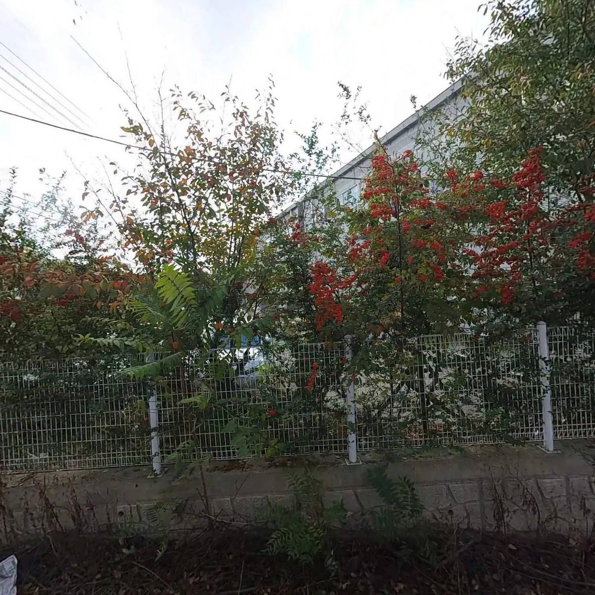 (주)디이에스