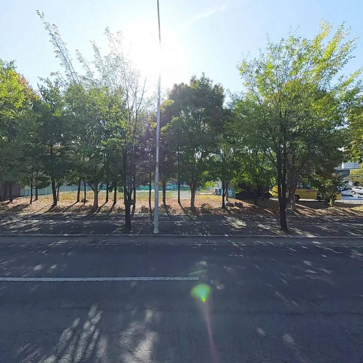 허니허니피자_3