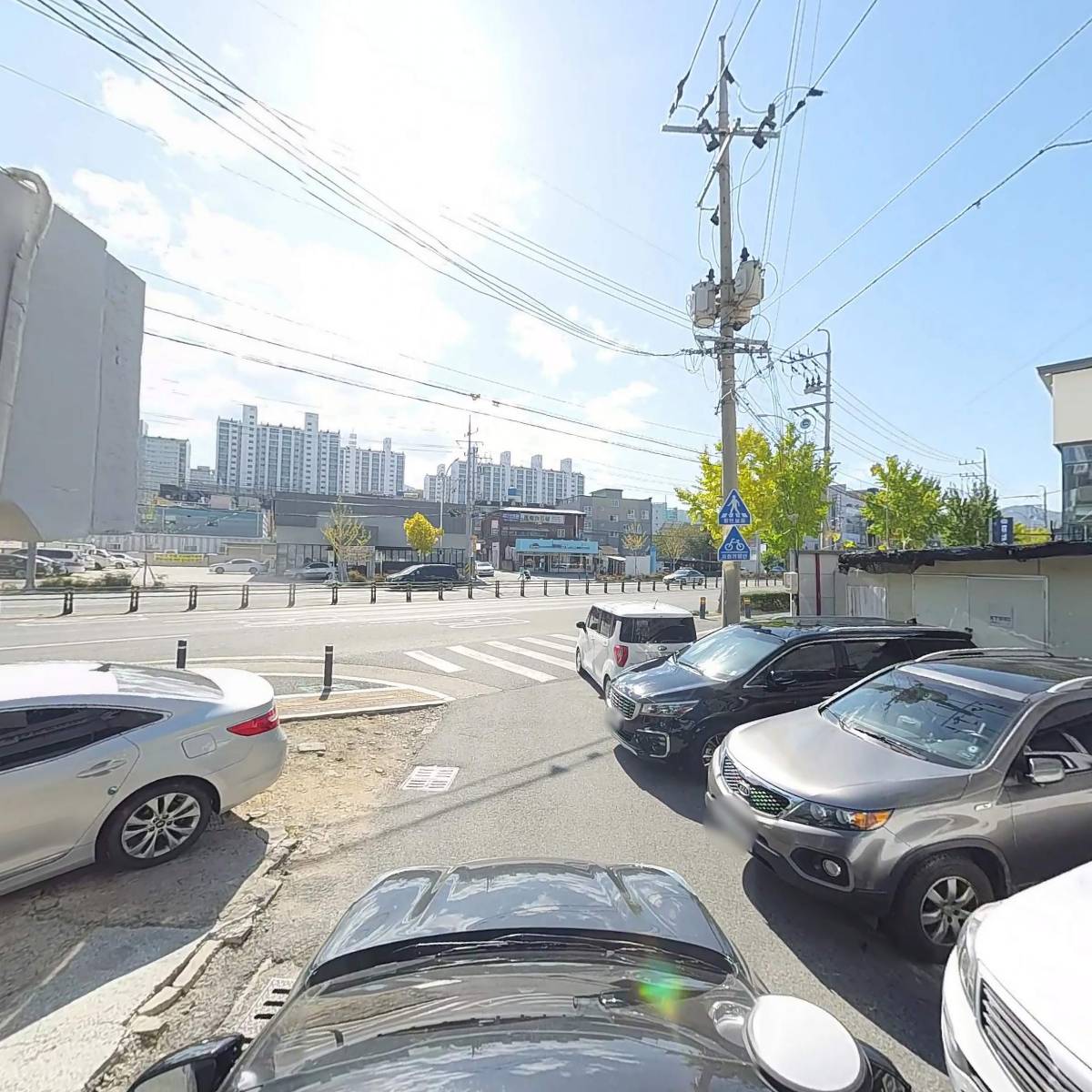 대한민국 독도사랑중앙회_4