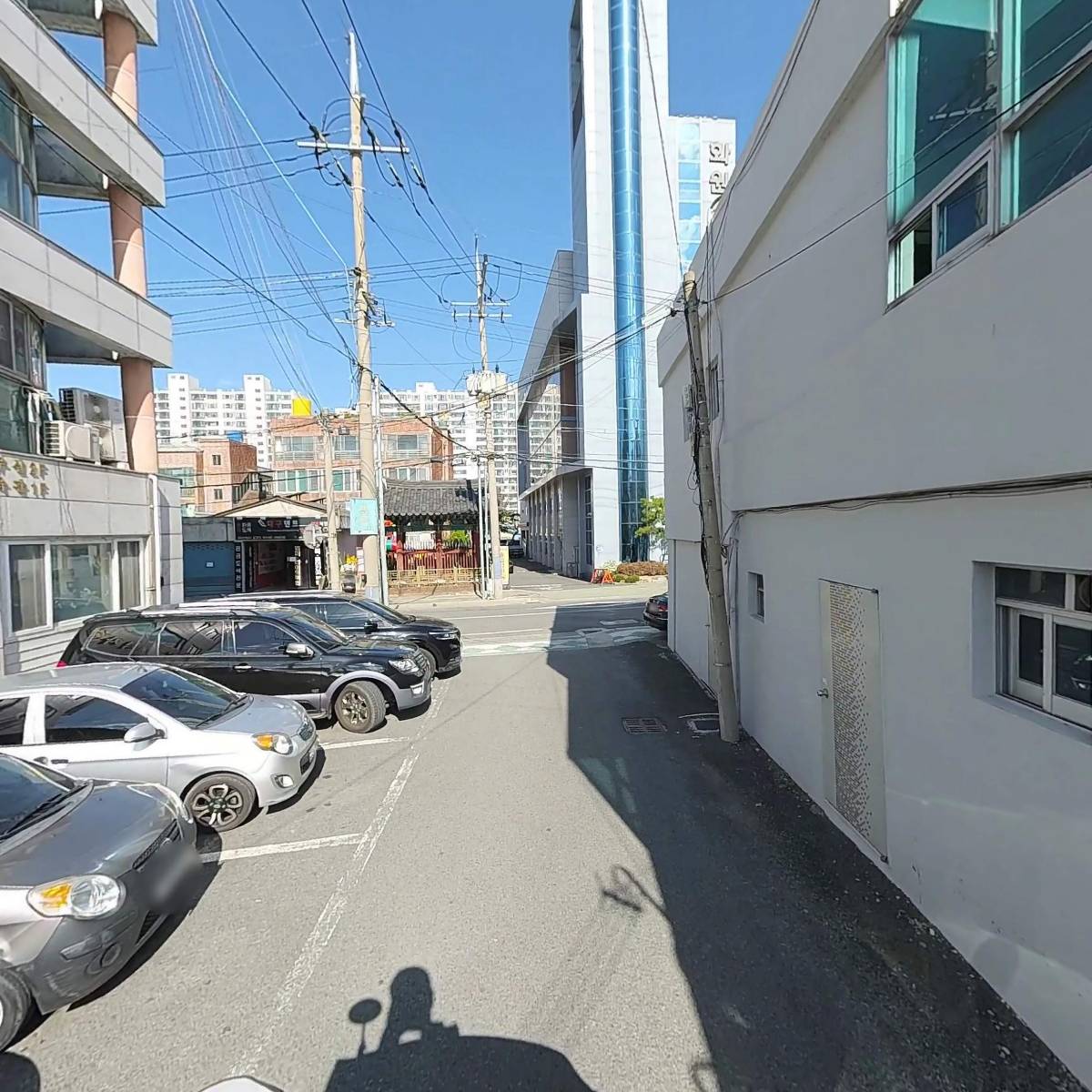 대한민국 독도사랑중앙회_2