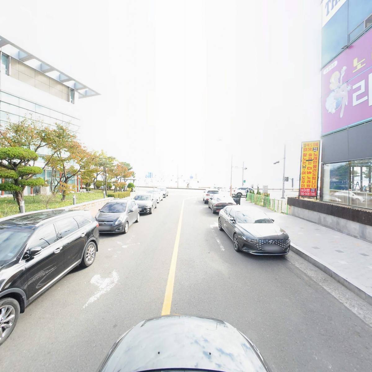 조새호포항점_4