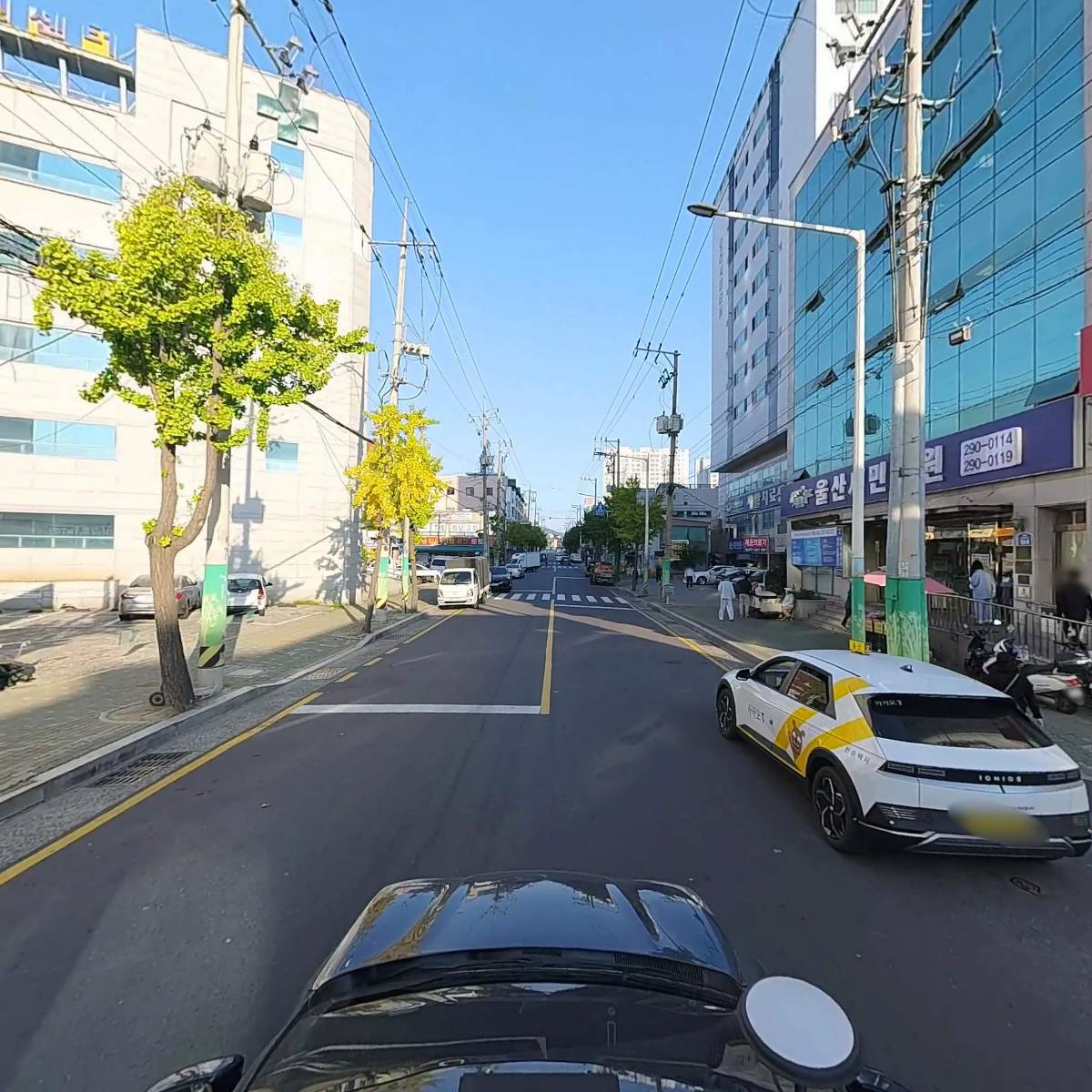 고농농약종묘사_4