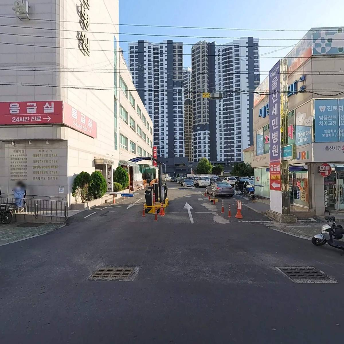 고농농약종묘사