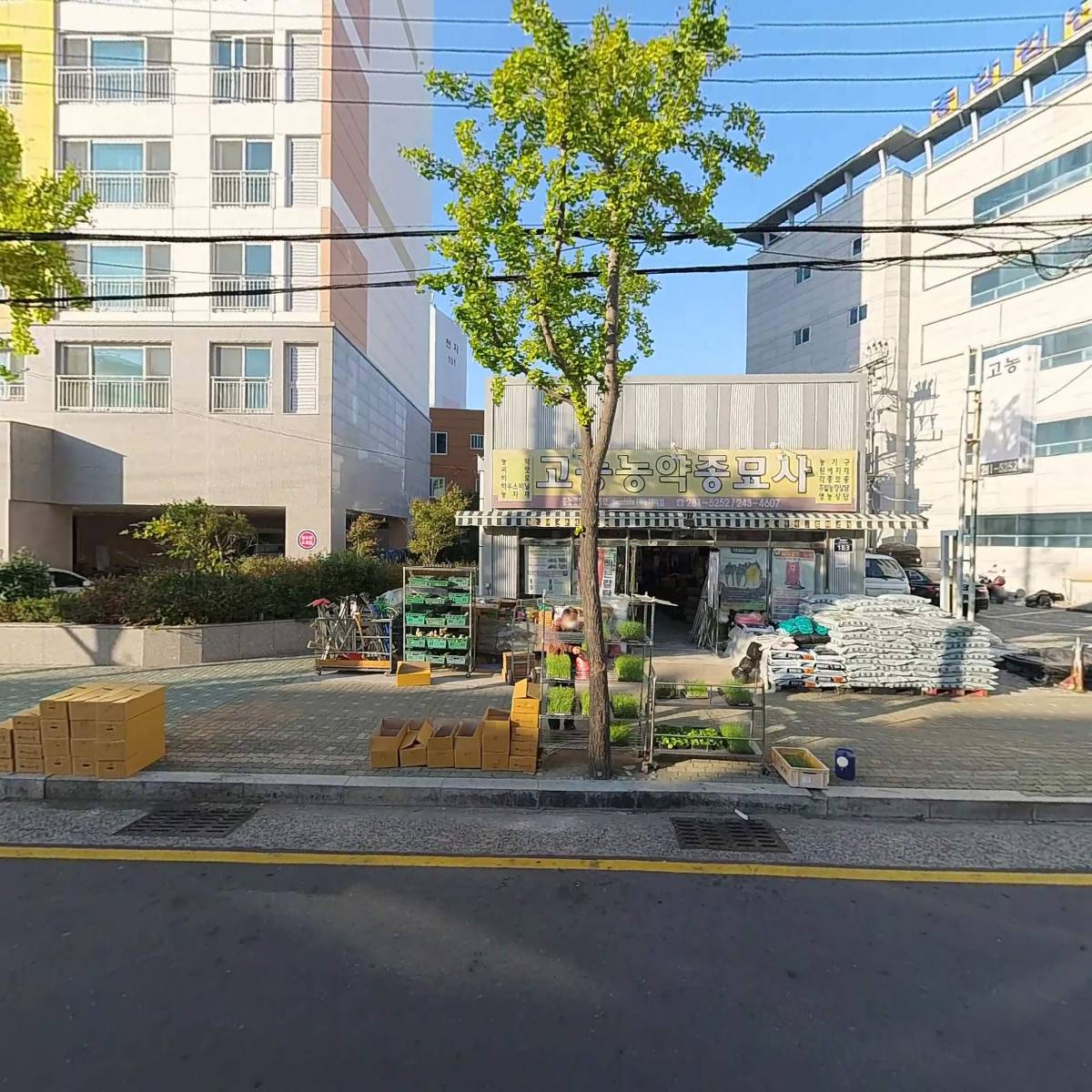 고농농약종묘사_3