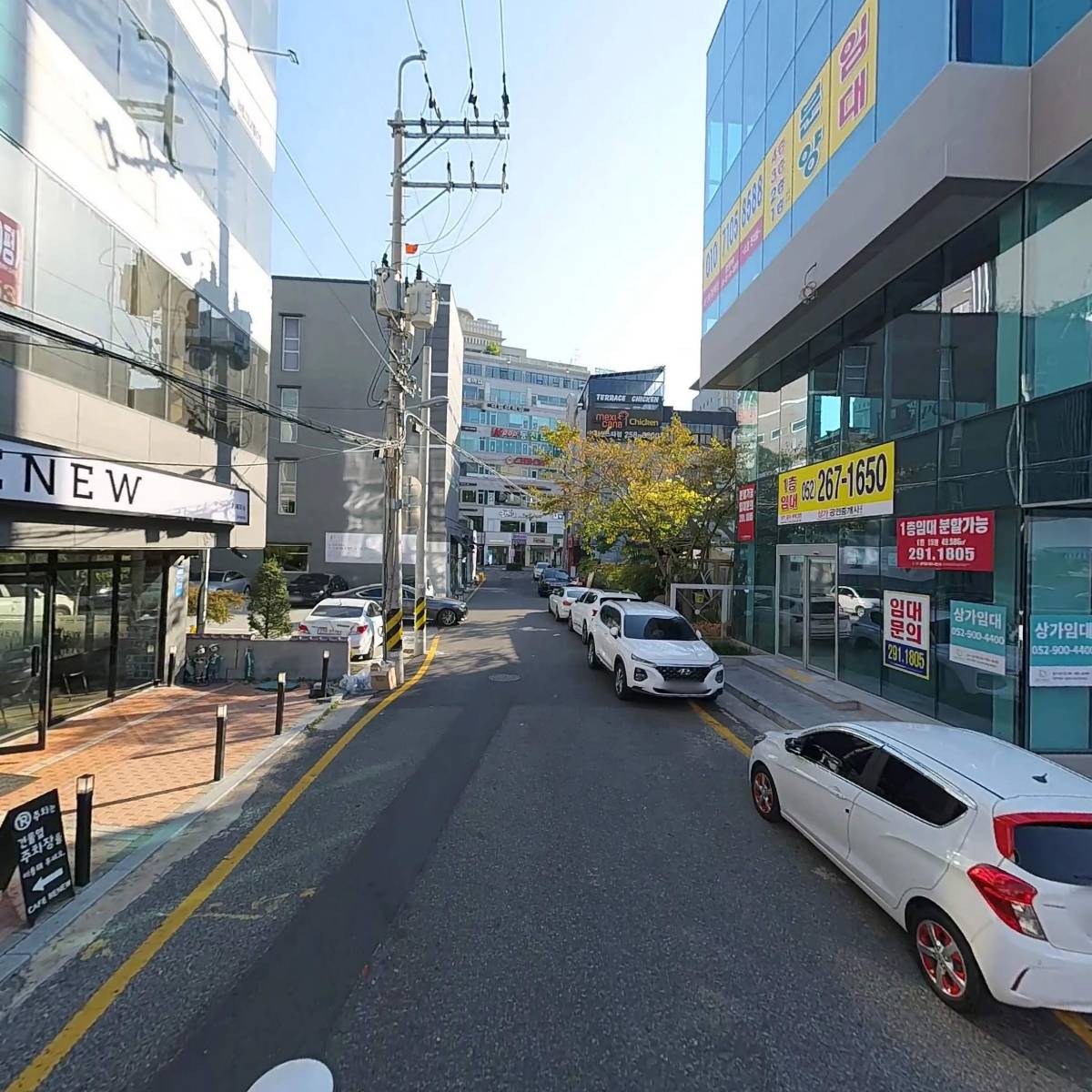 카페리뉴_2