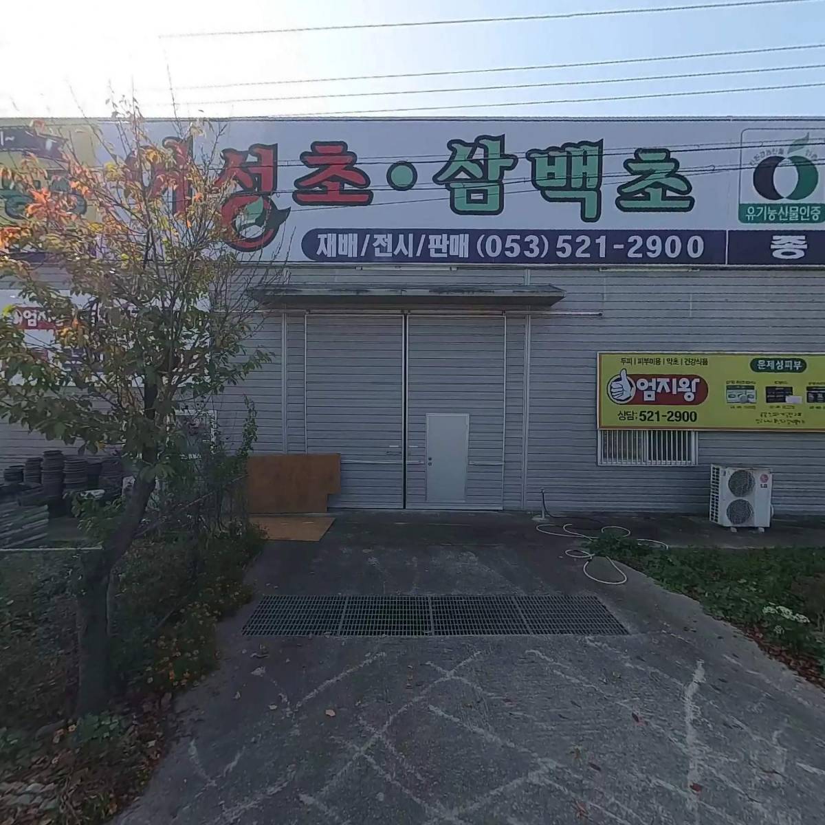 농업법인(주)미산약초농장
