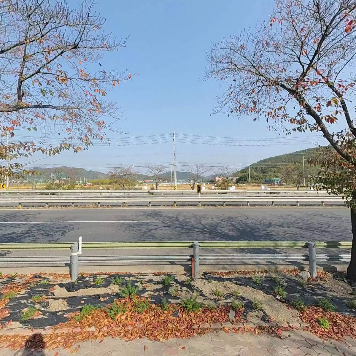농업법인(주)미산약초농장_3