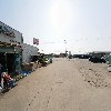애호박돼지국밥_2