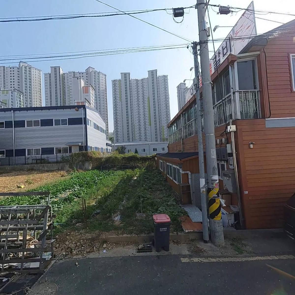 세기 이펙트(SEGI effect)