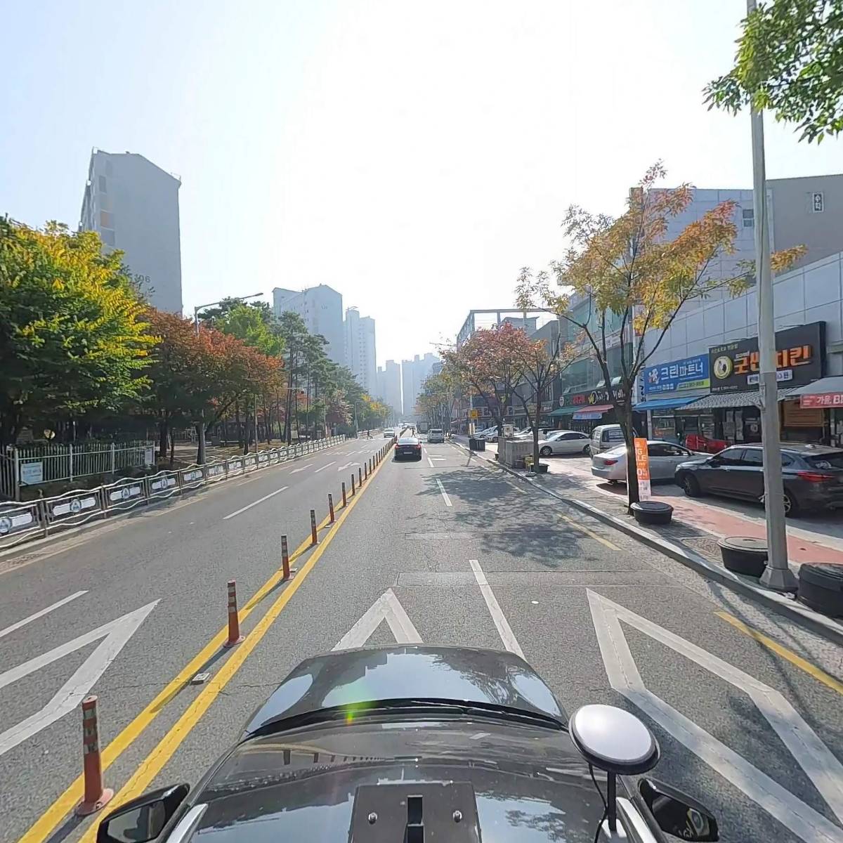 목구멍다사점_4